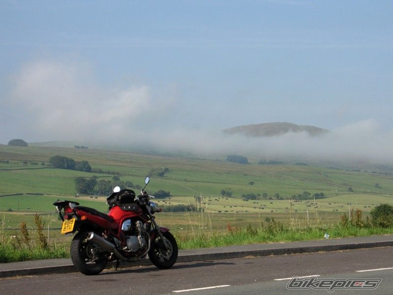 Photo 1369195