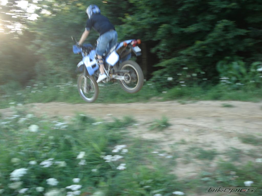 Photo 1369197
