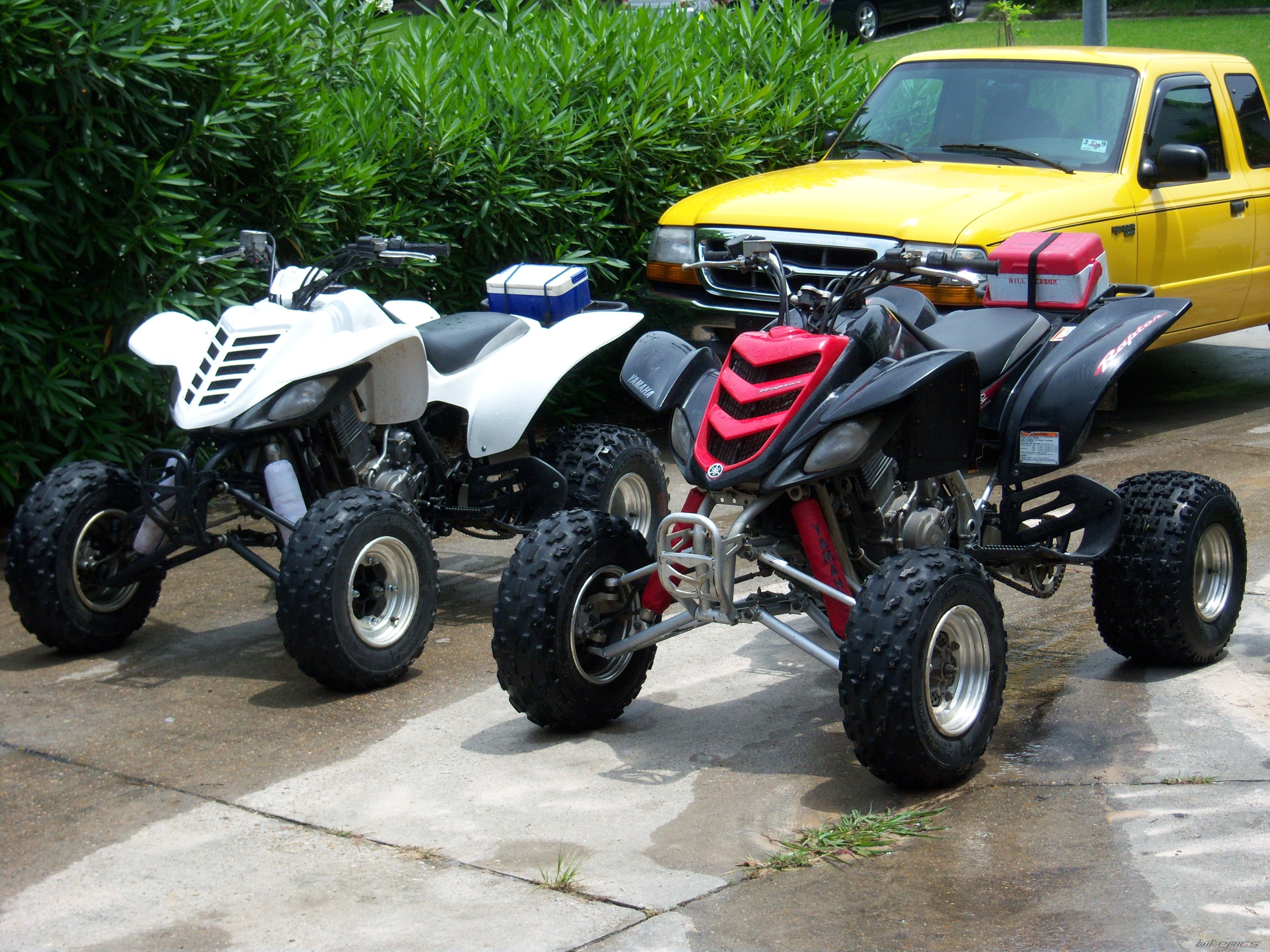 Photo 1369221