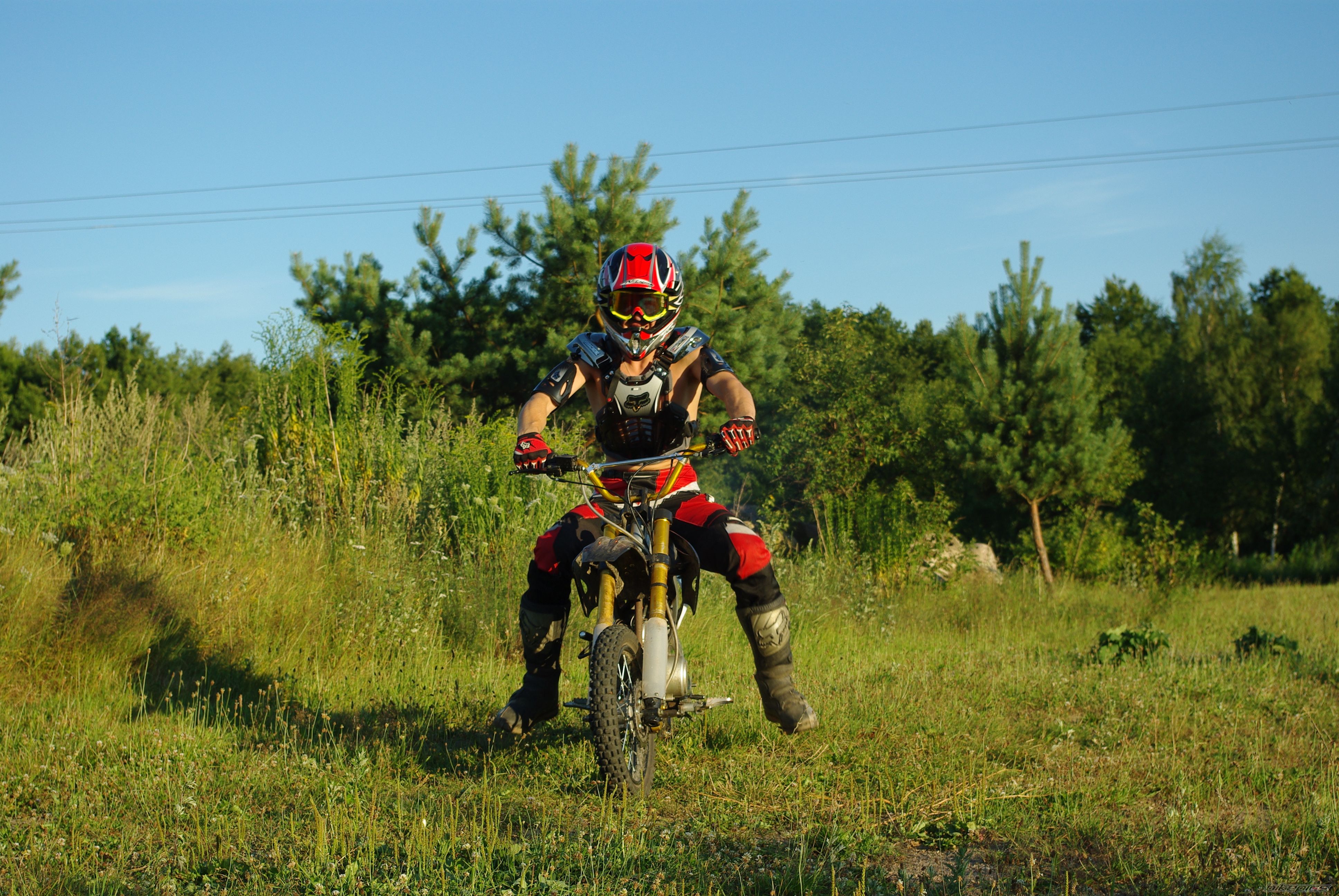 Photo 1369272