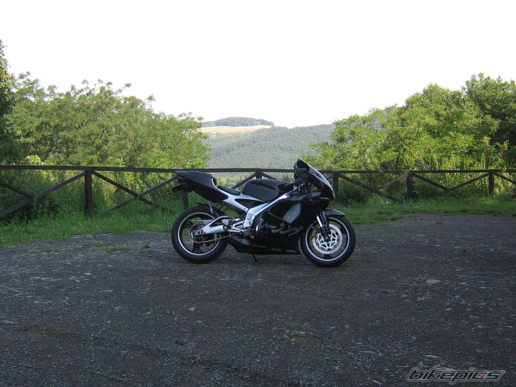 Photo 1369474