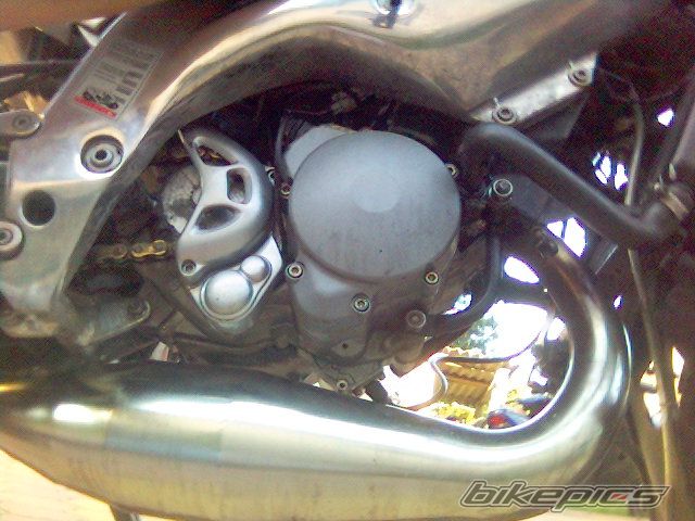 Photo 1369482