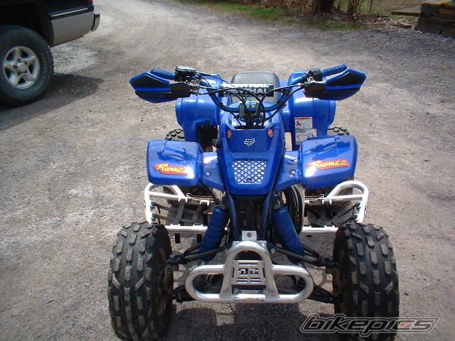 Photo 136951
