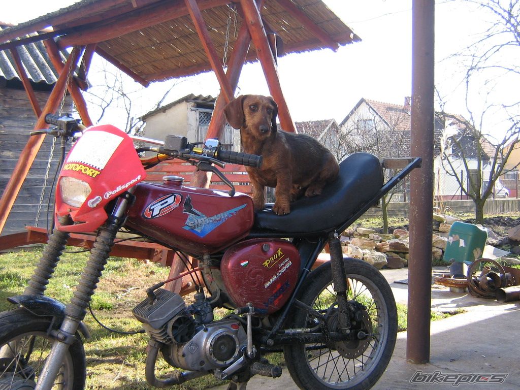 Bike Photo 1369514