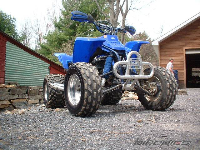 Photo 136954