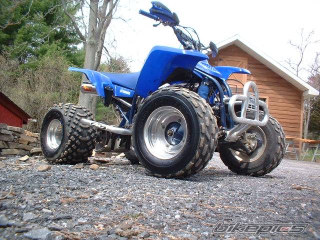 Photo 136956