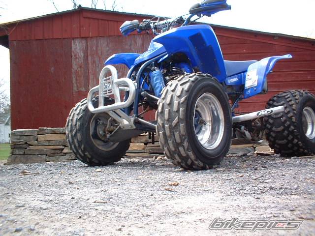 Photo 136957