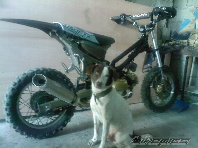 Bike Photo 1369679