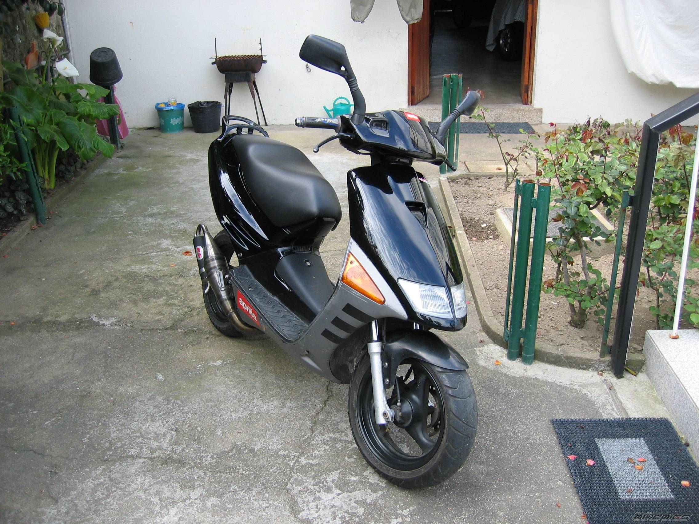 Photo 136969