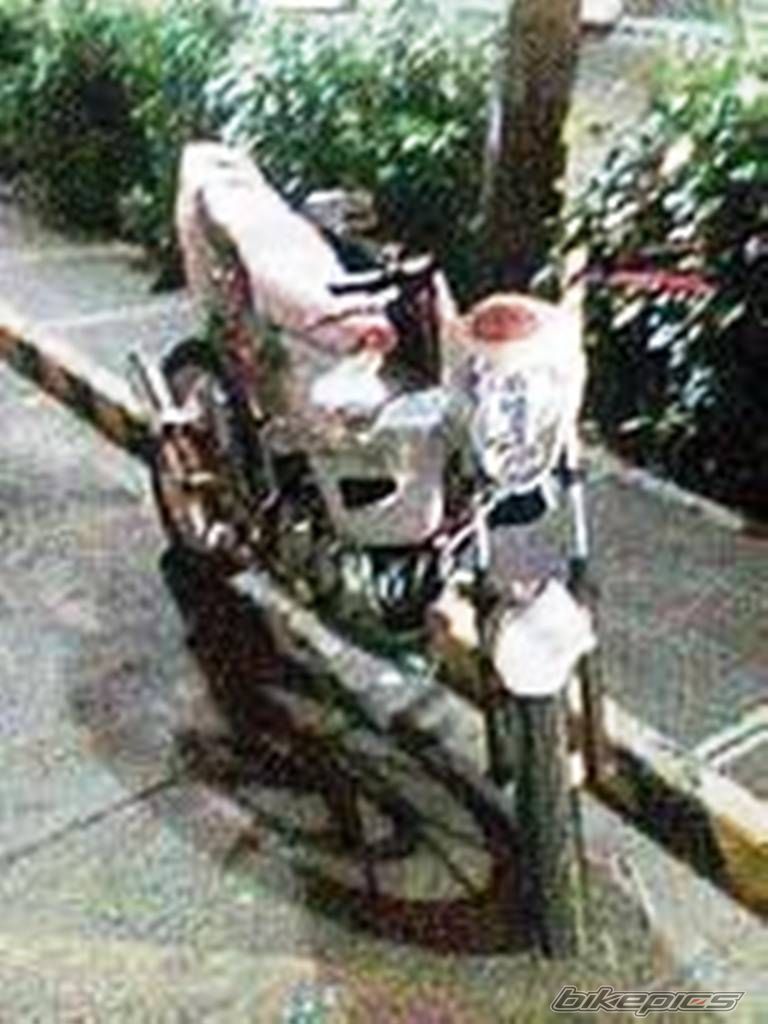 Photo 1369739