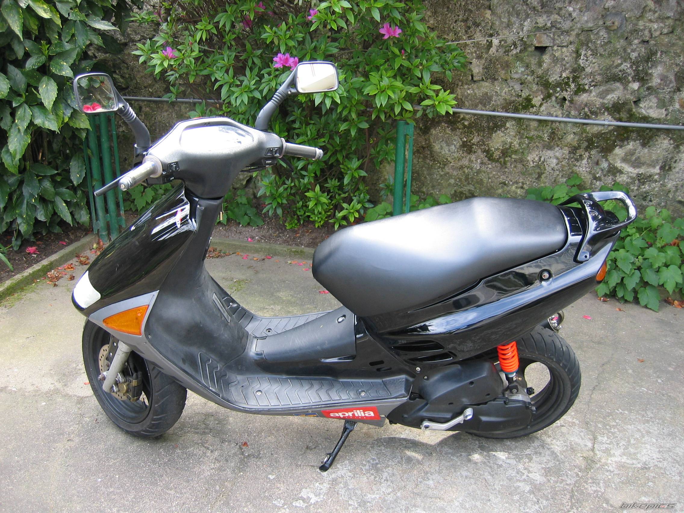 Photo 136975