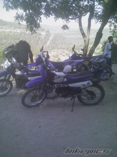 Photo 1369779