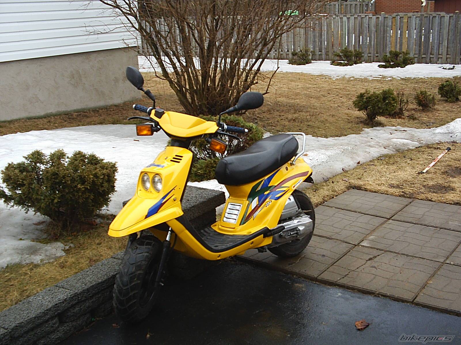 Photo 136983