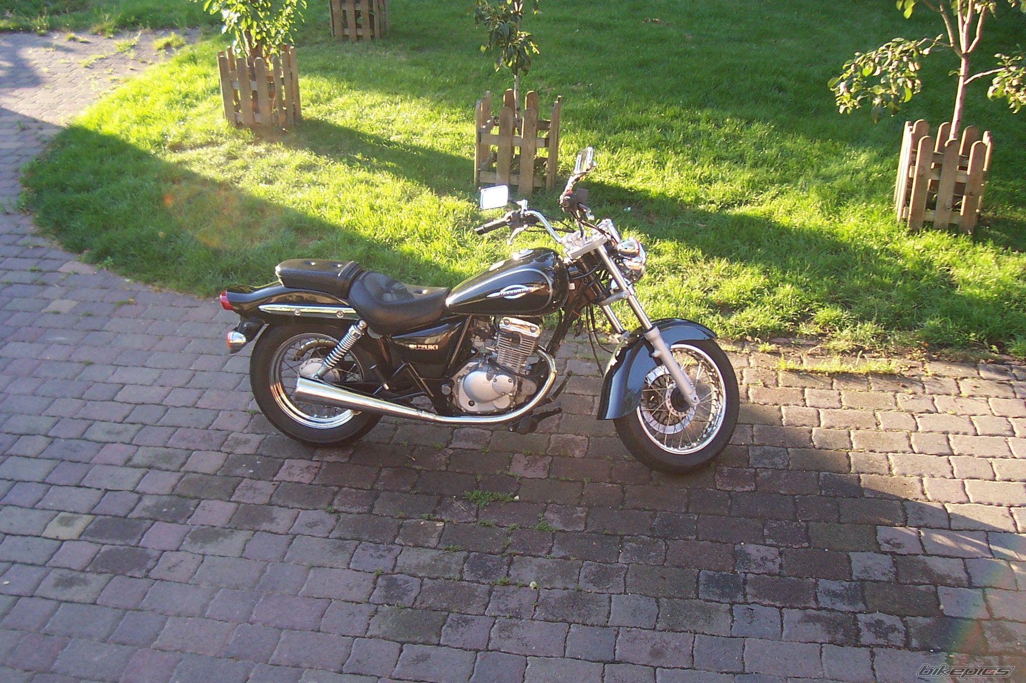 Photo 1369861