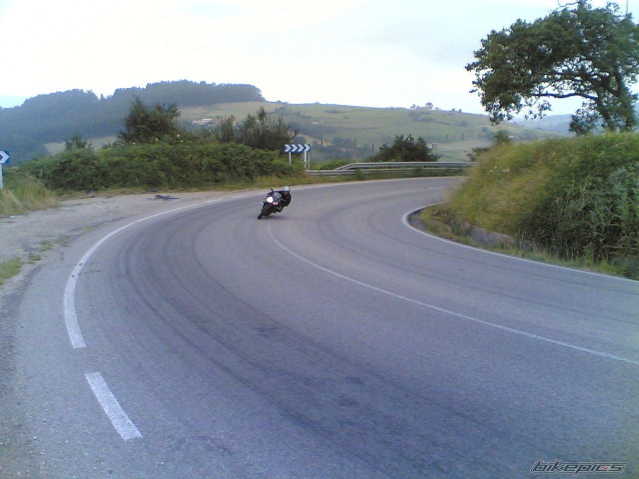 Photo 1369906