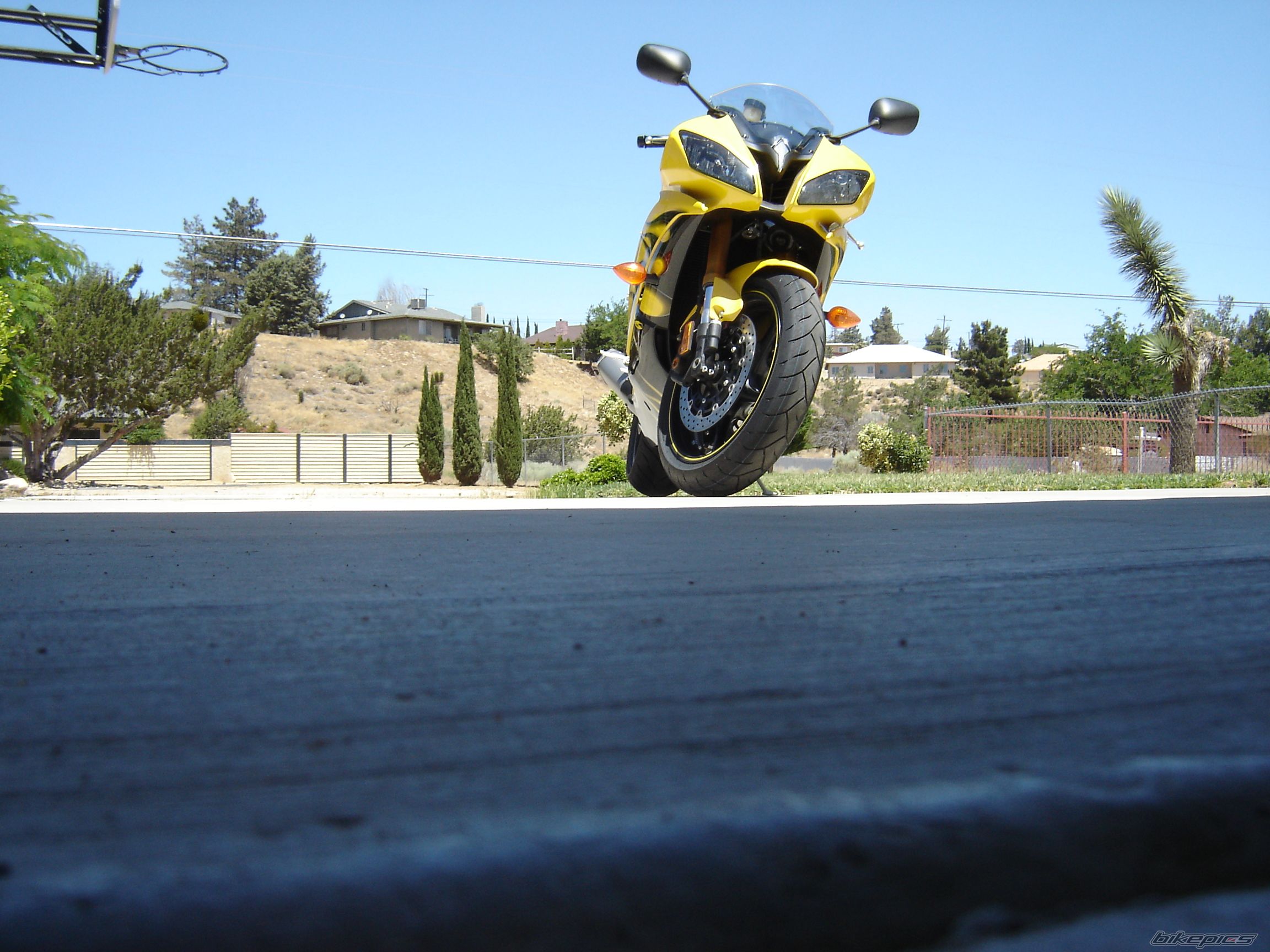 Photo 1369916