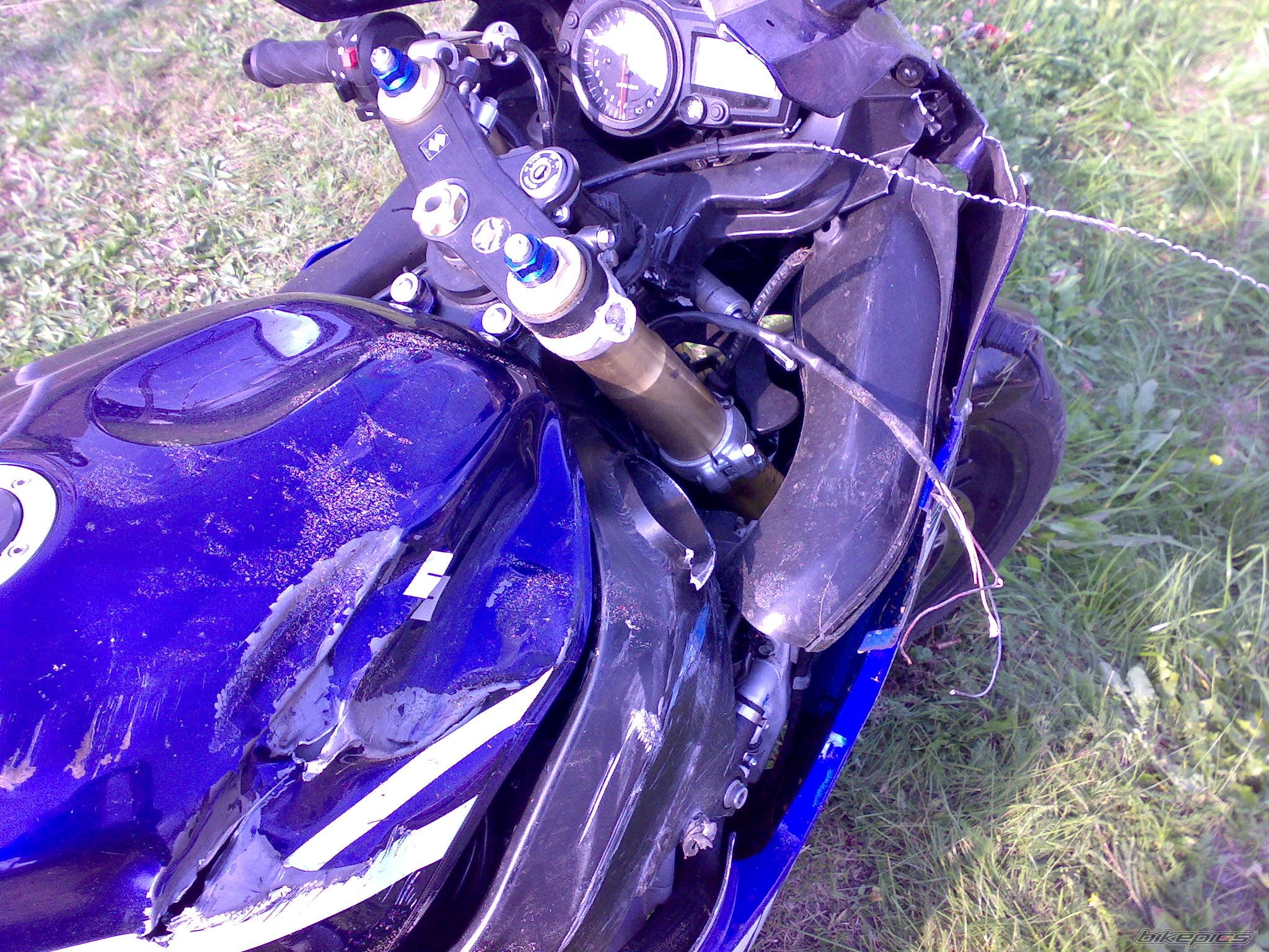 Photo 1369969