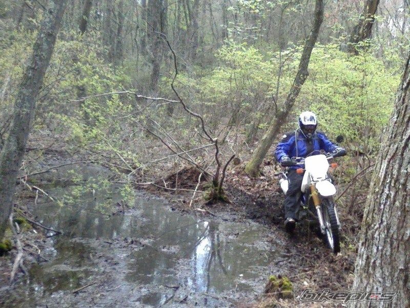 Photo 1370224