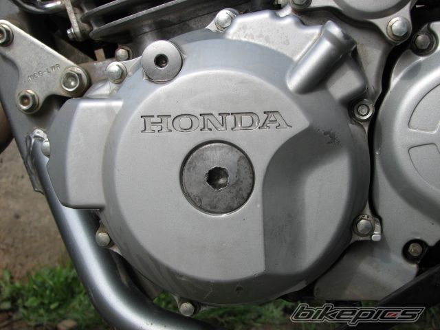 Photo 1370241