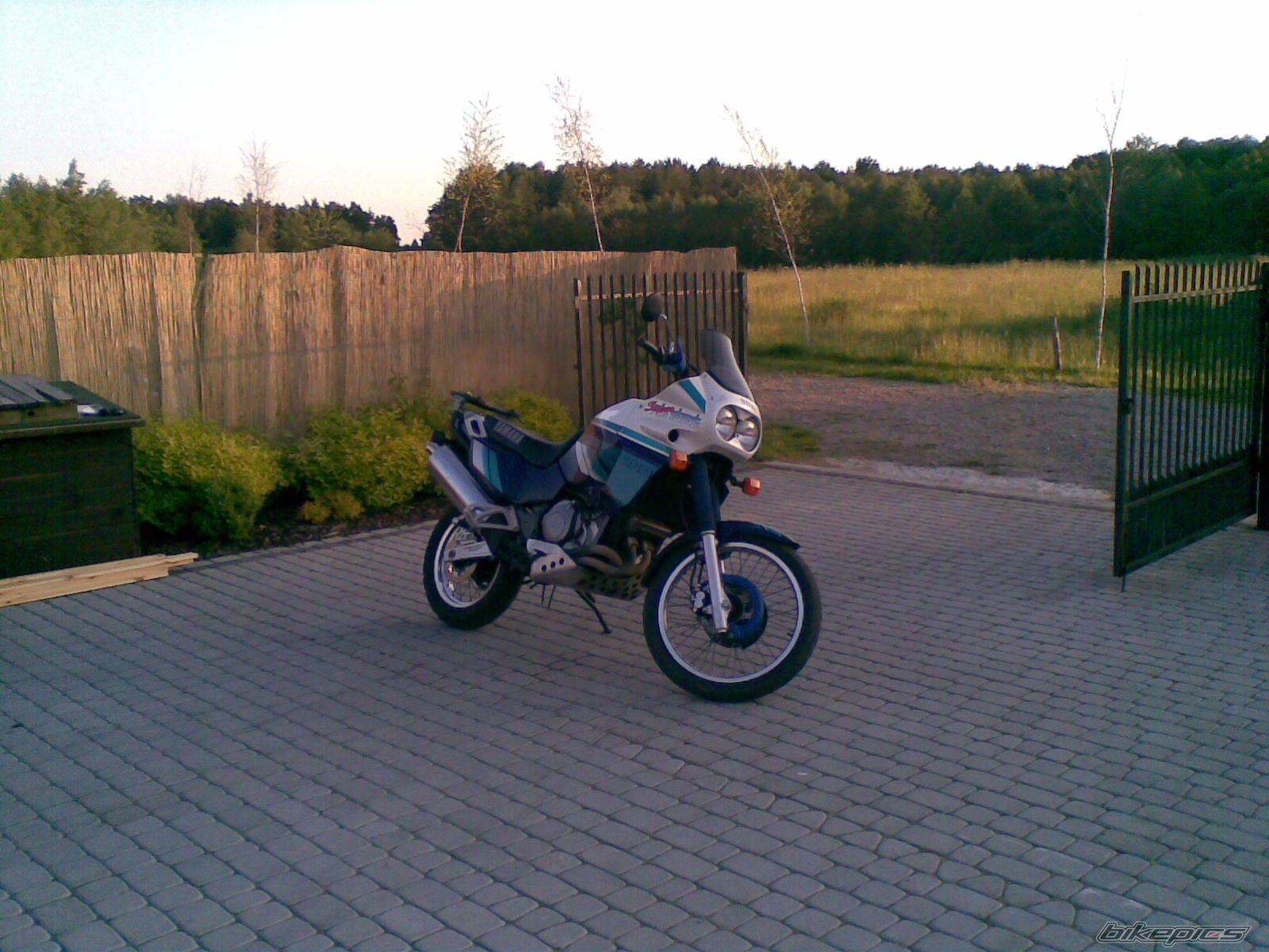 Photo 1370386