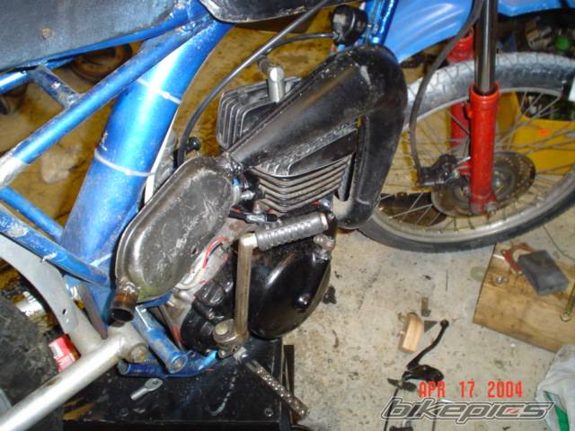 Photo 137045