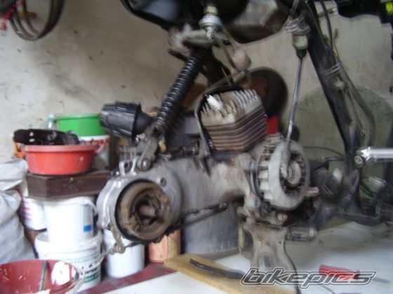 Photo 1370469