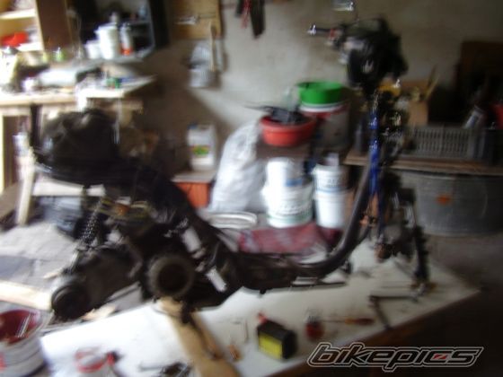 Photo 1370492