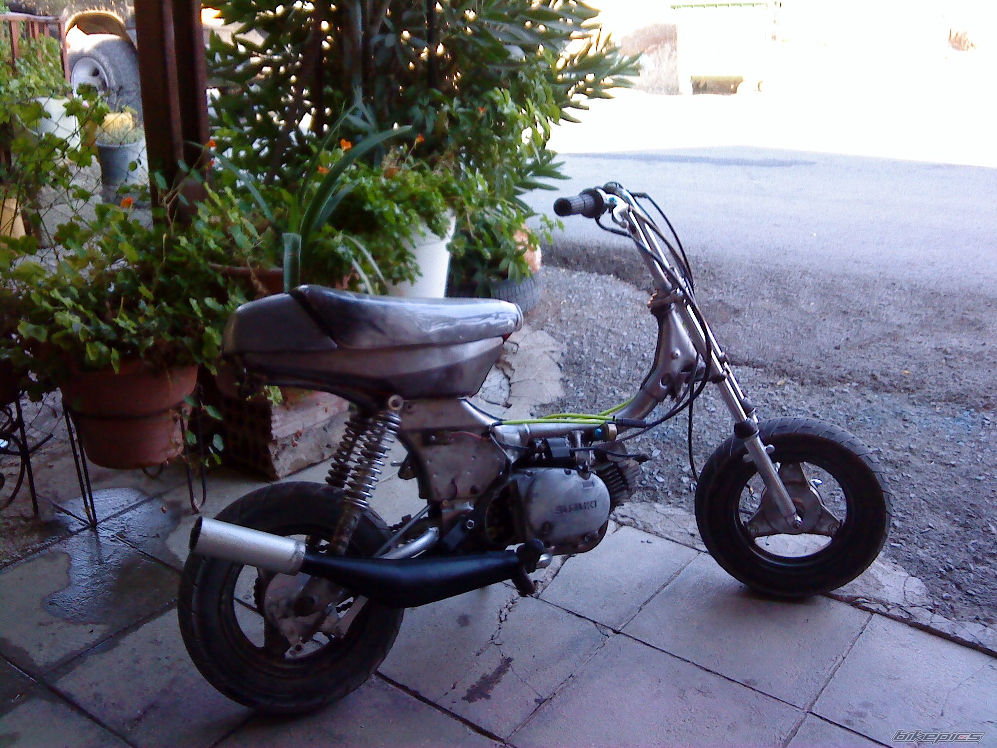 Photo 1370804