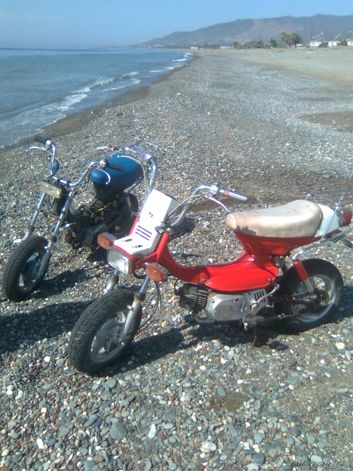 Photo 1370820