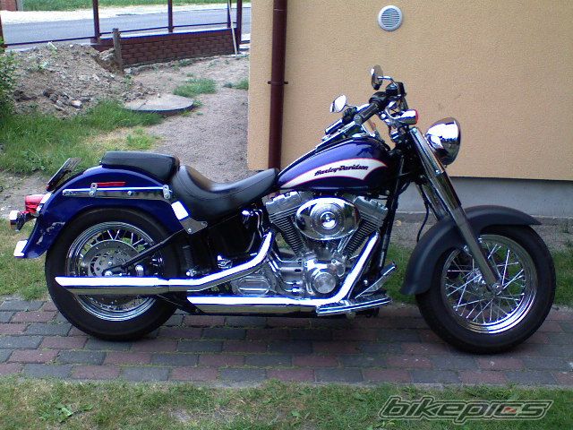 Photo 1370865