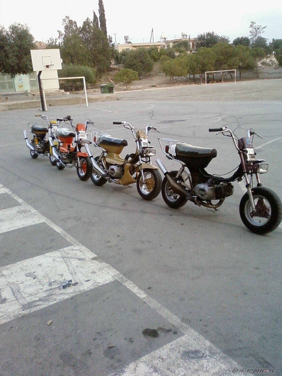 Photo 1370962