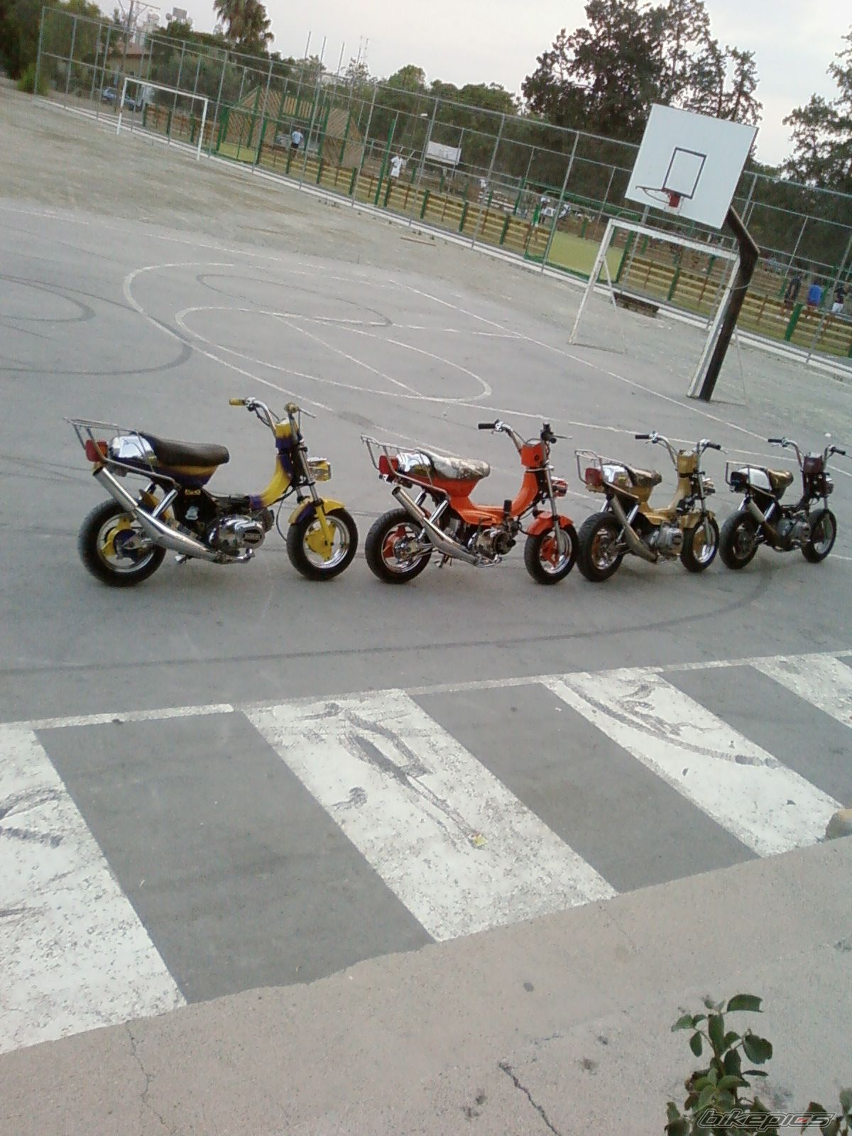 Photo 1370968