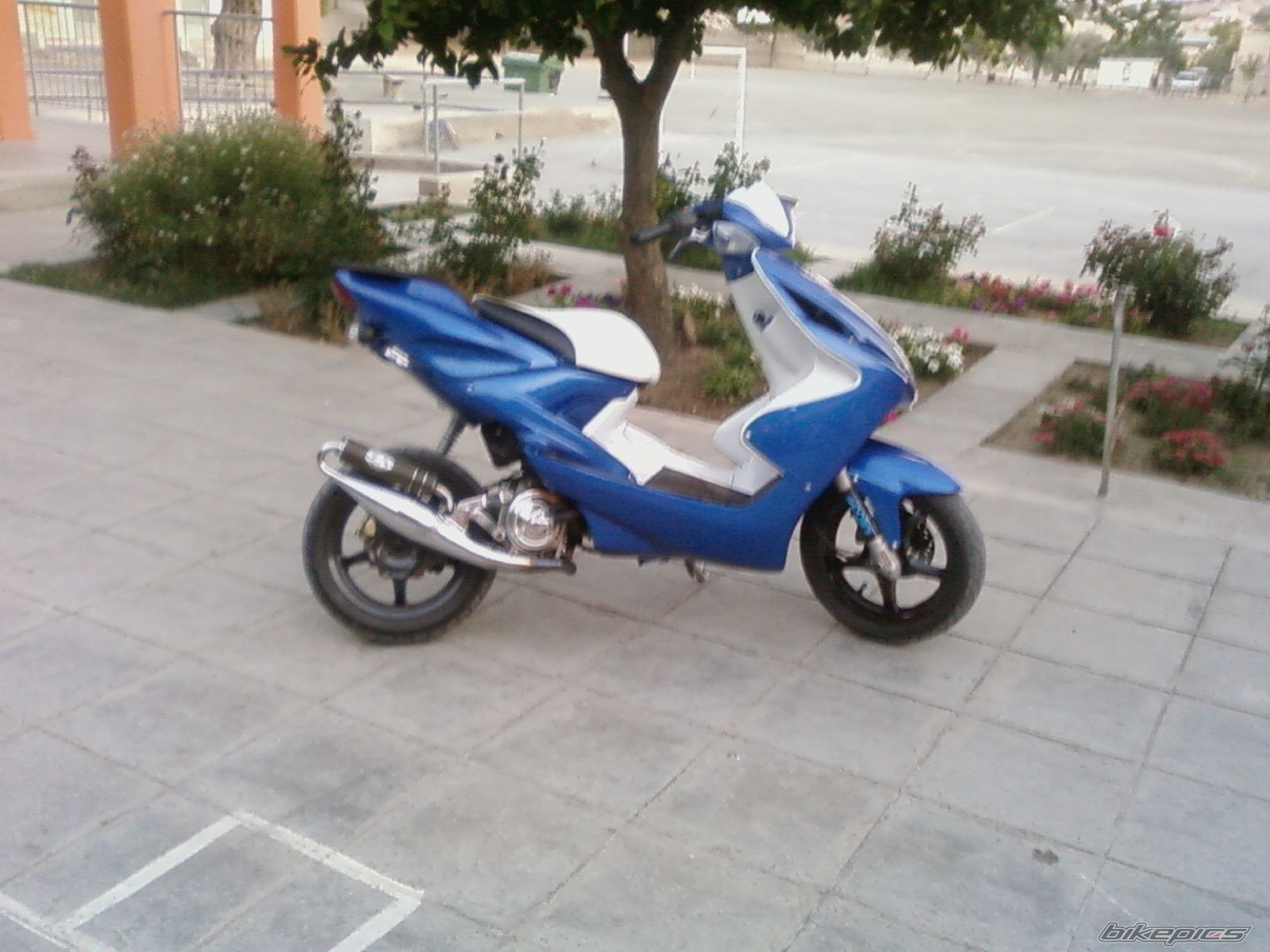 Photo 1370976