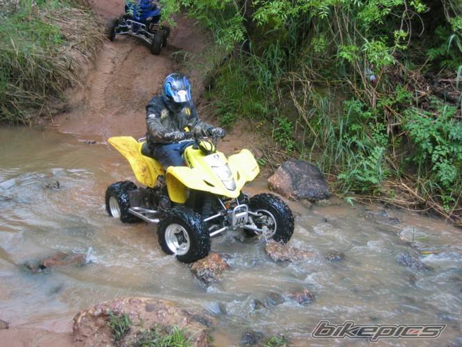 Photo 137116