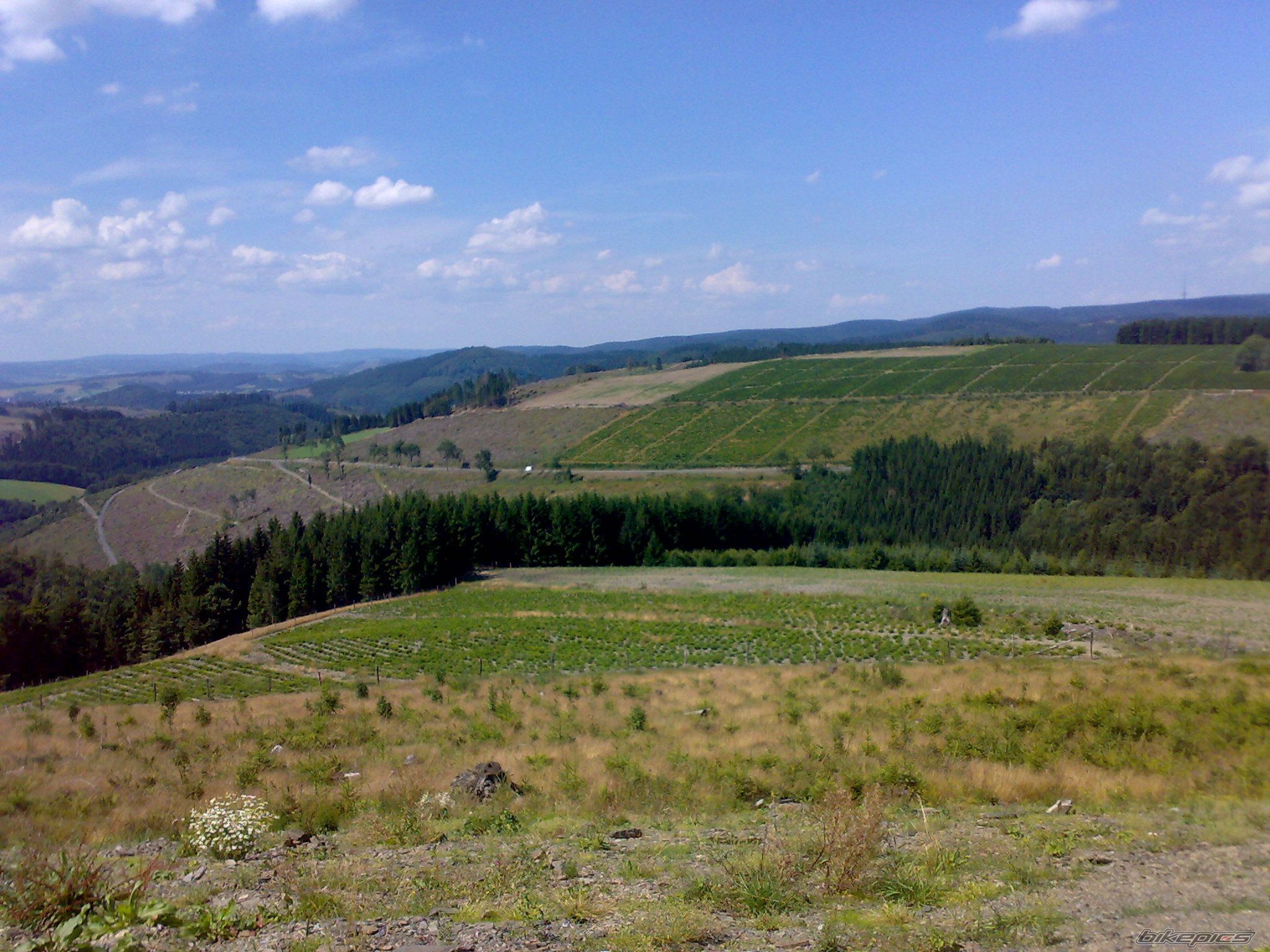 Photo 1371232