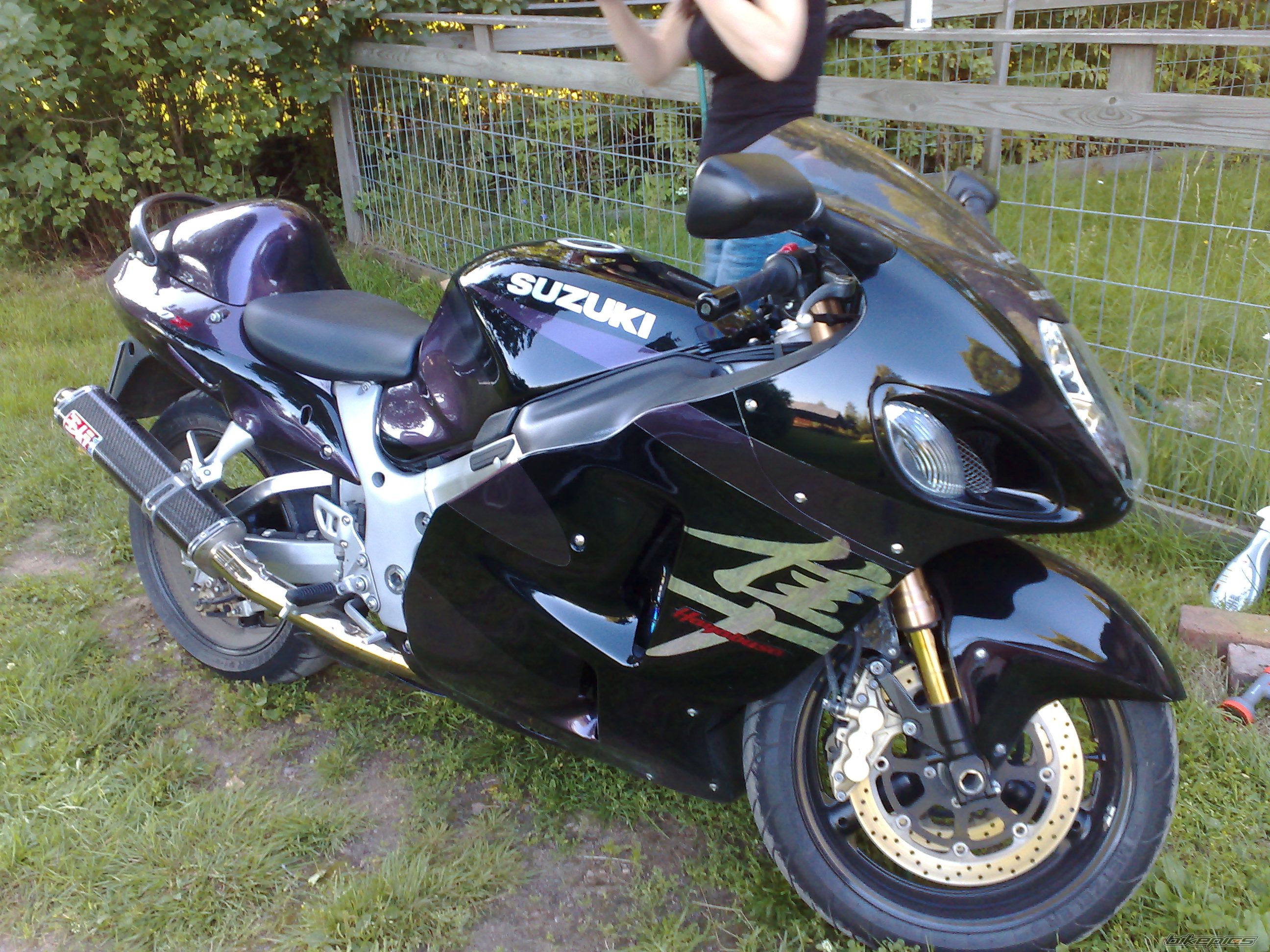 Photo 1371431