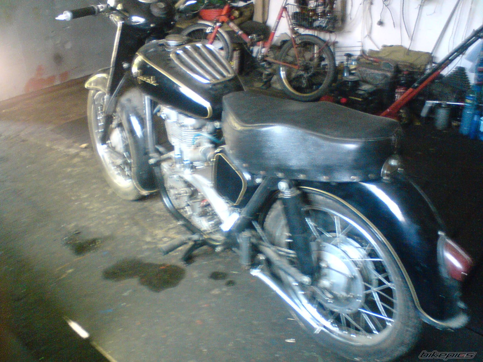 Photo 1371493