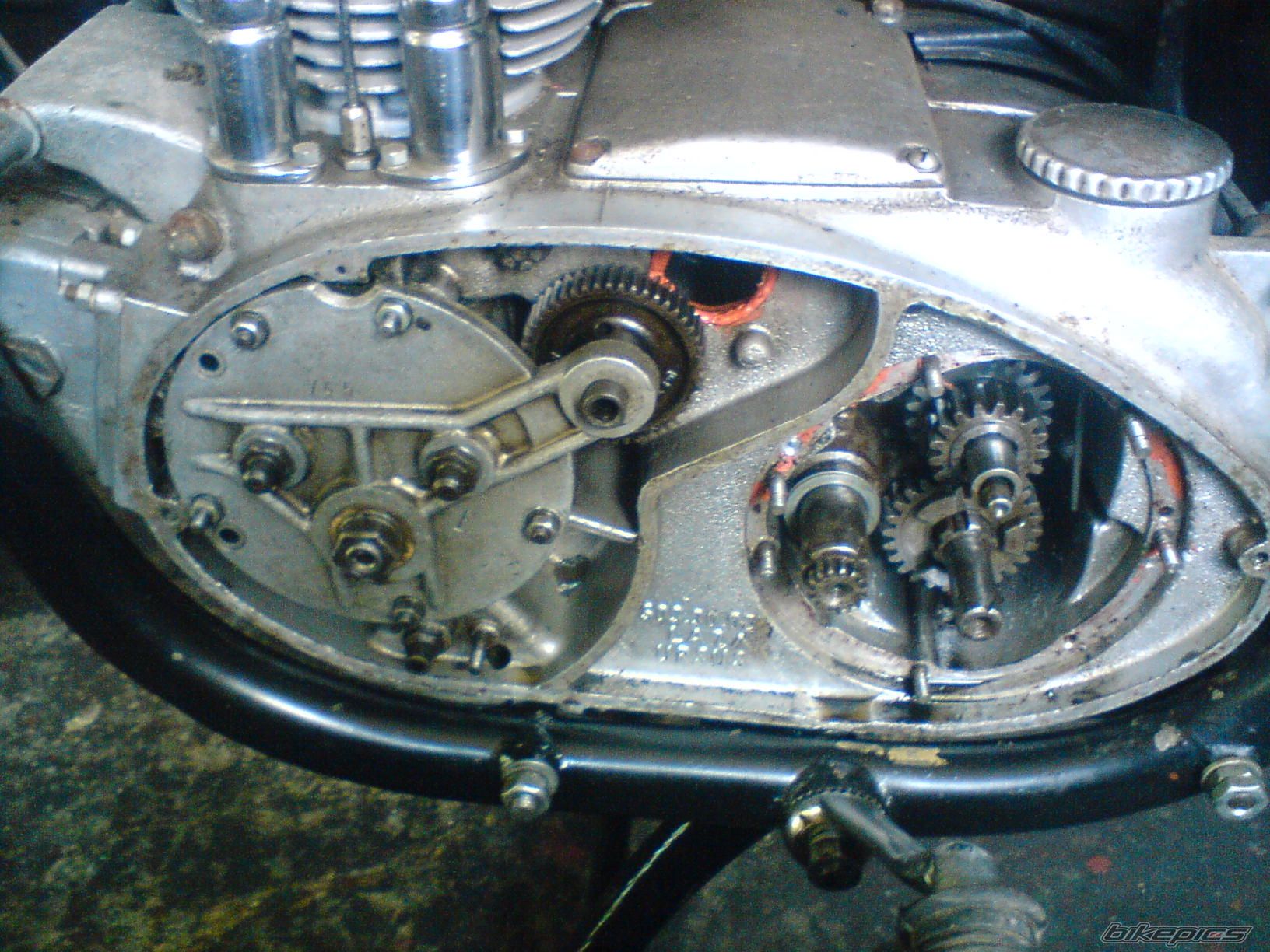 Photo 1371494
