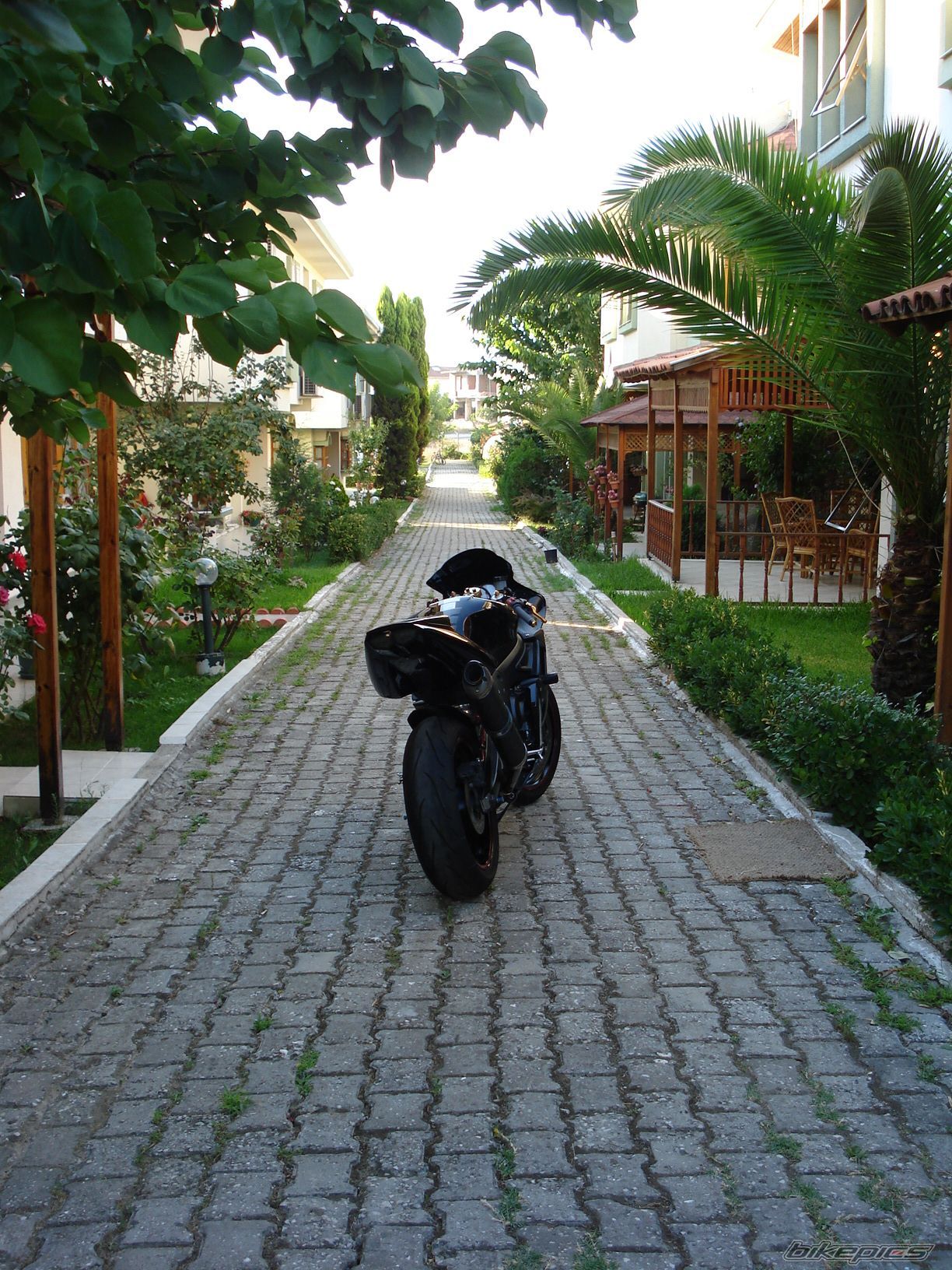 Photo 1371538