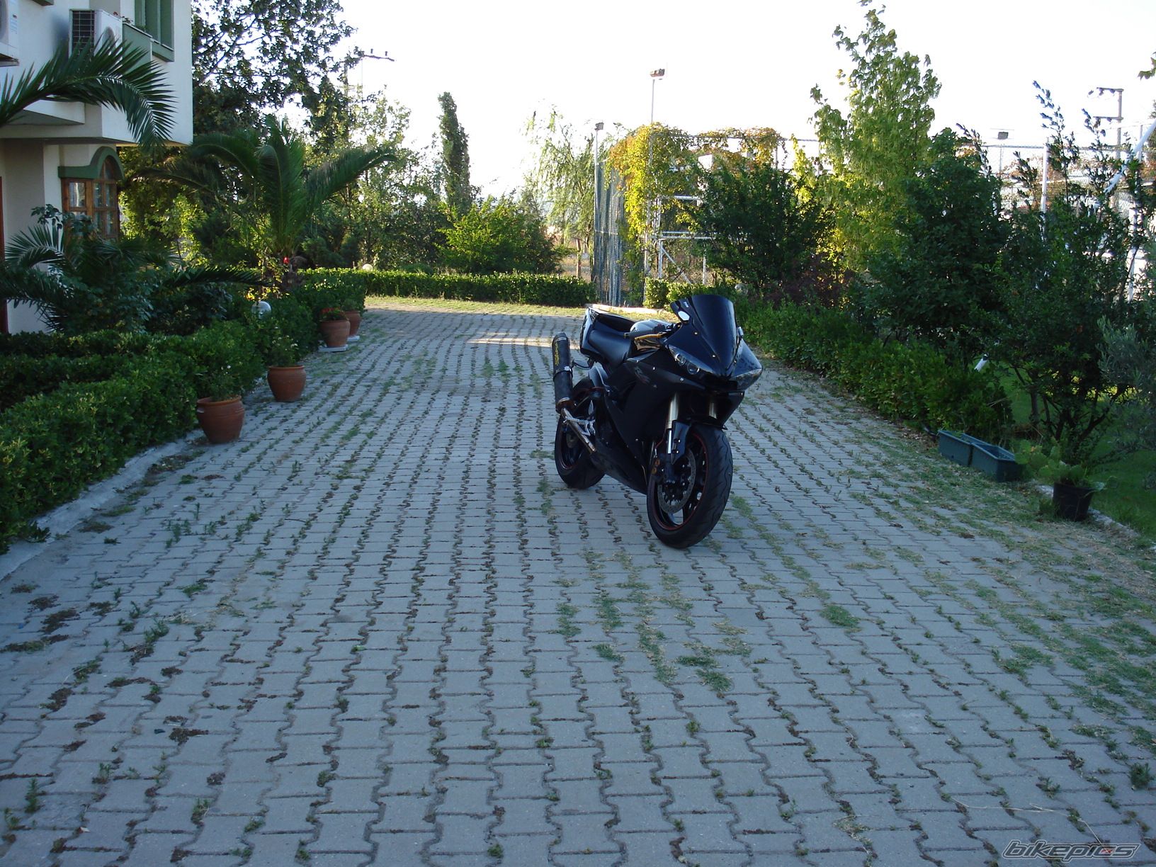 Photo 1371539