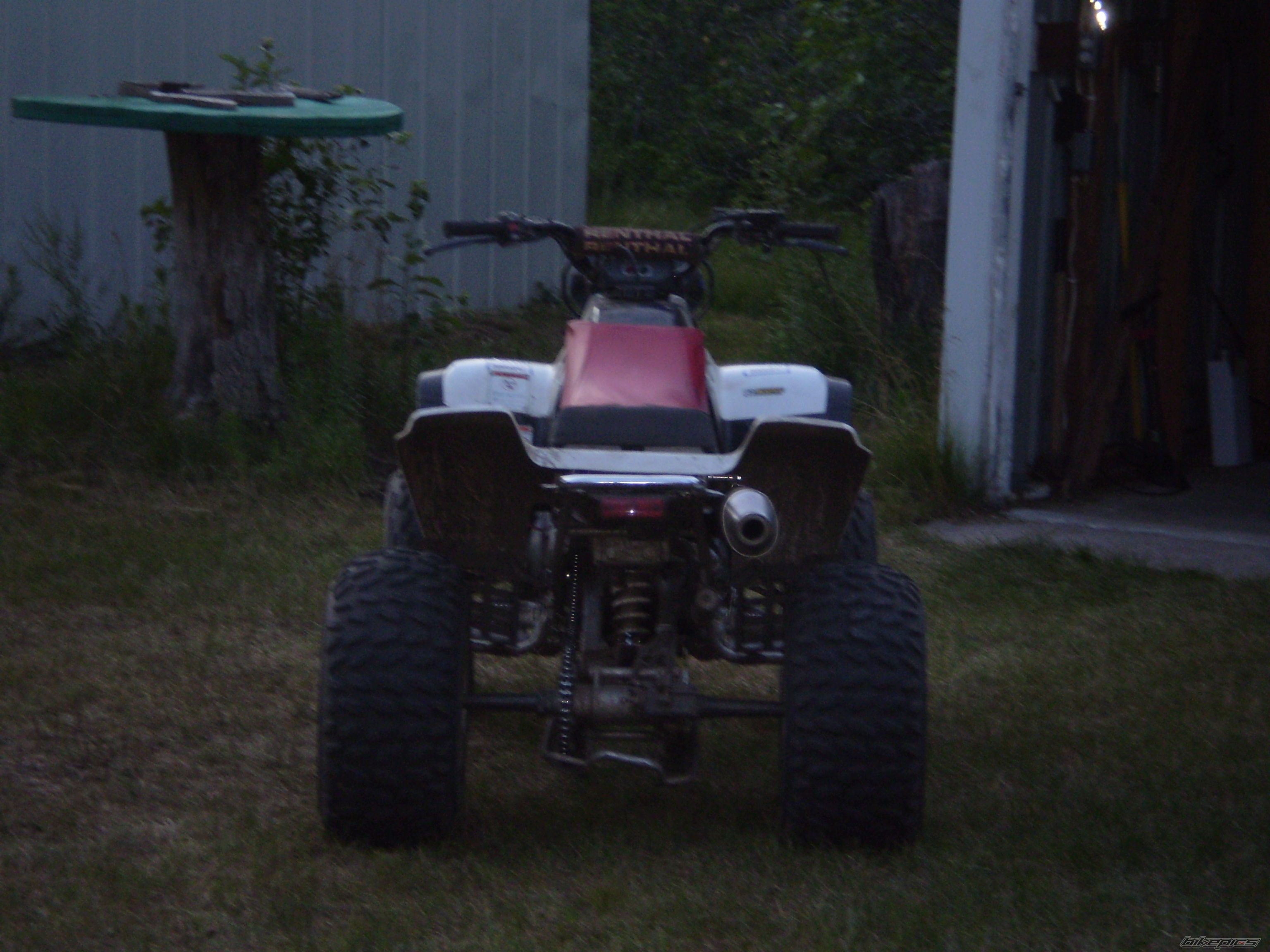 Photo 1371593