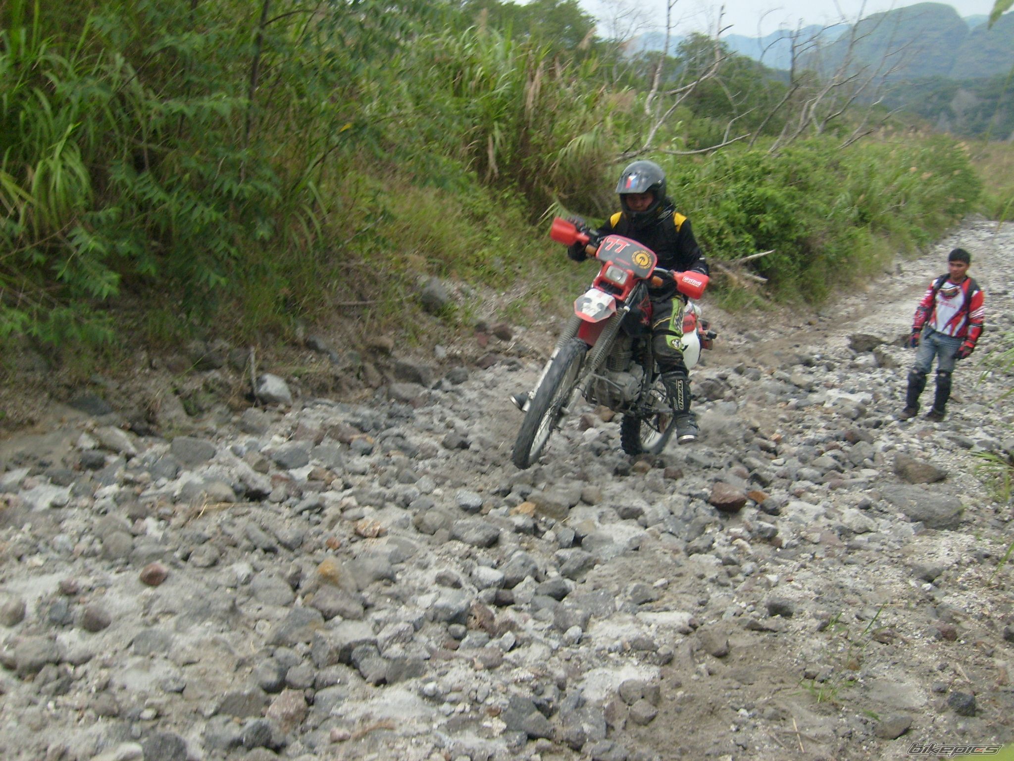 Photo 1371596