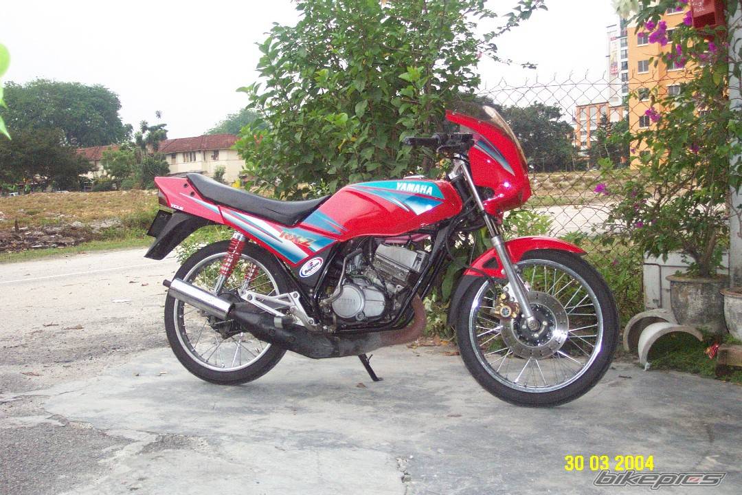 Photo 137176