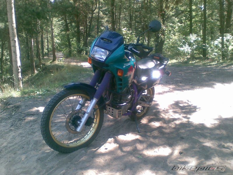 Photo 1371761