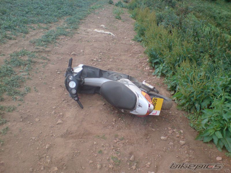 Photo 1371768