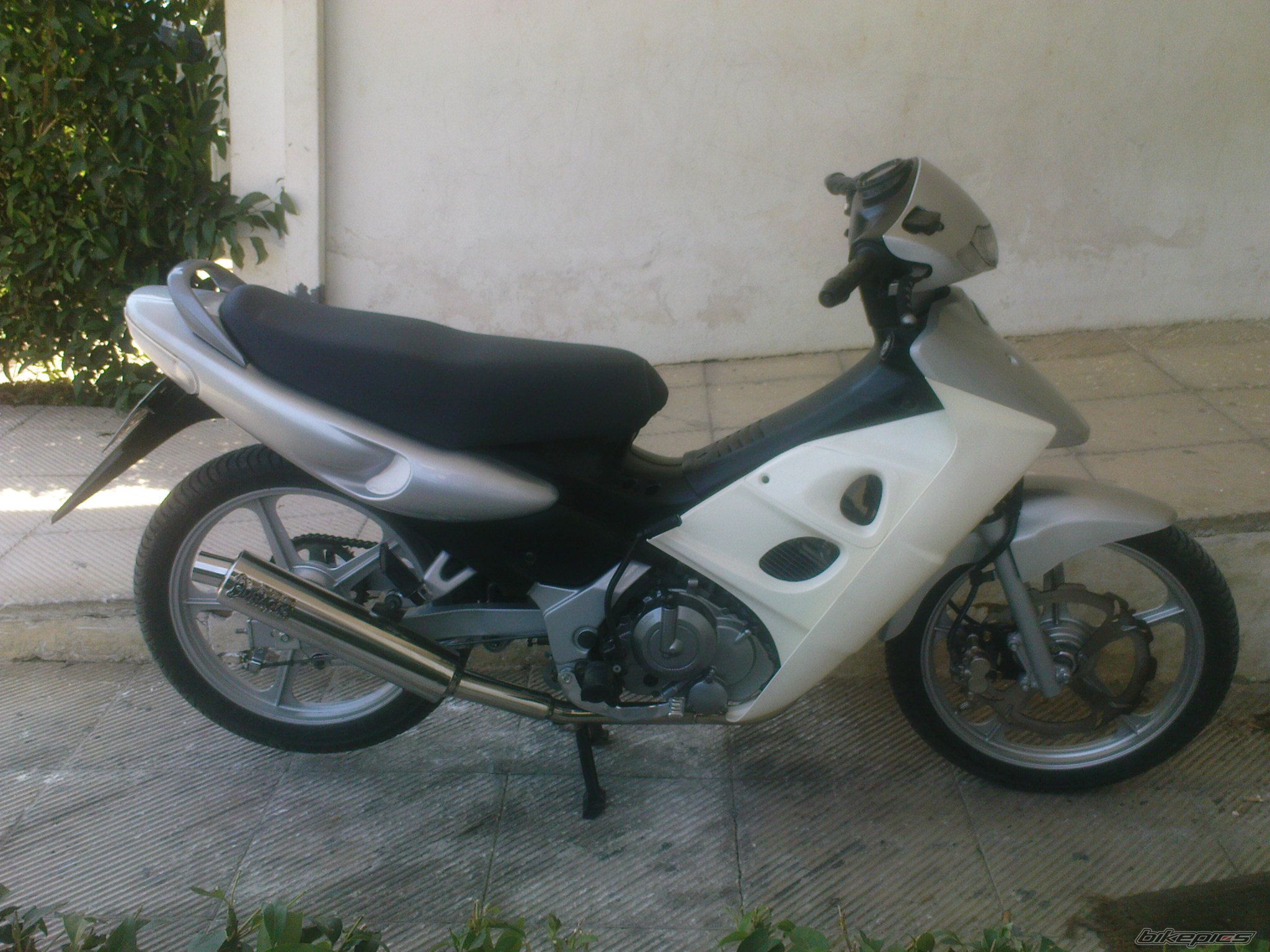 Photo 1371798