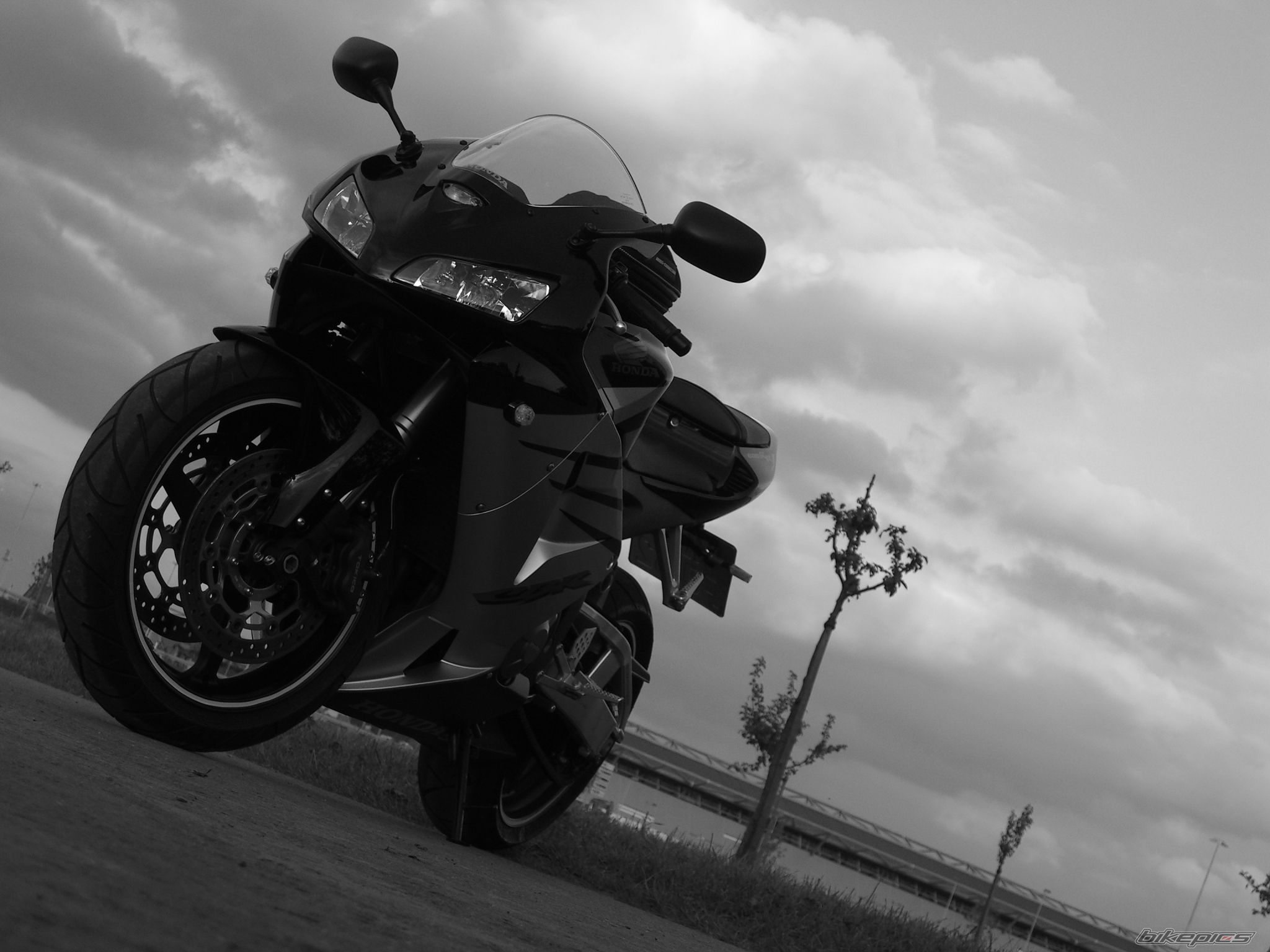 Photo 1371812