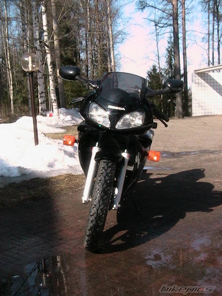 Photo 137191