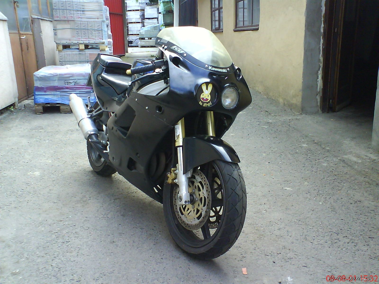 Photo 1372066