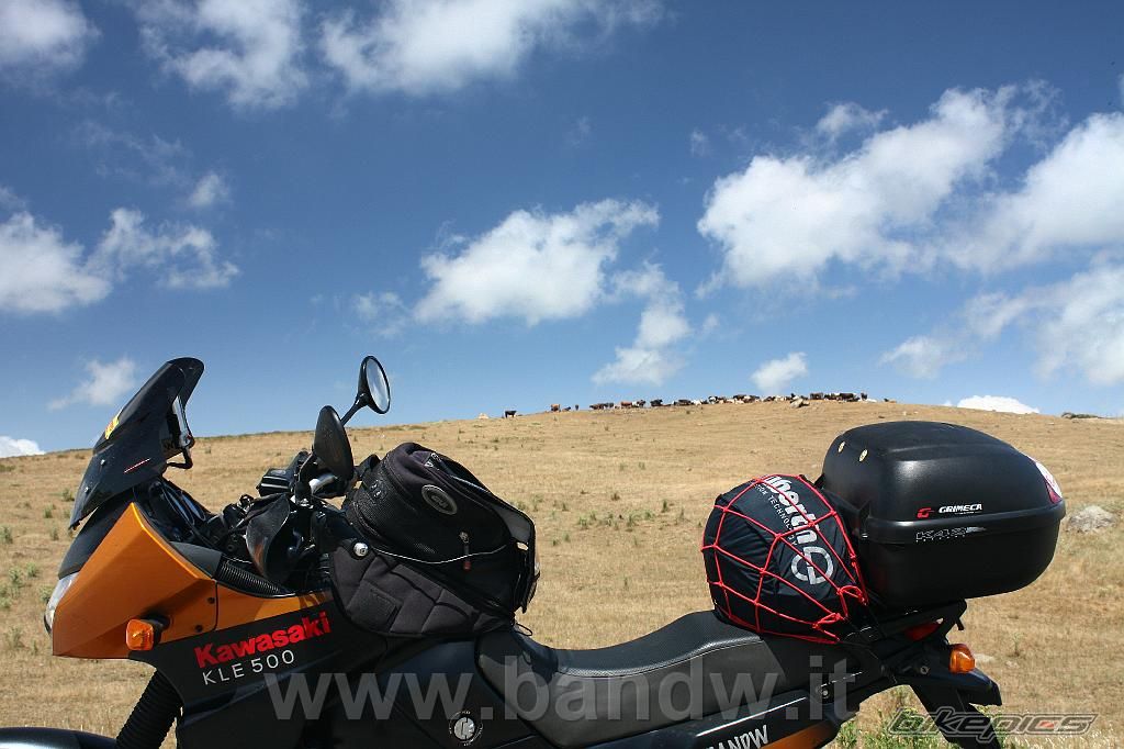 Photo 1372246